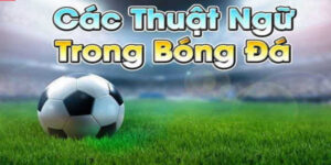 Cac-thuat-ngu-ca-do-bong-da-thong-dung-